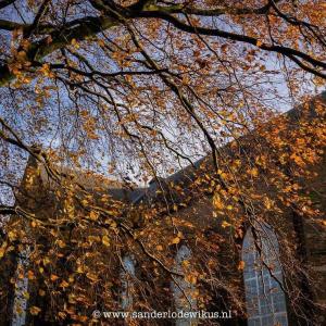 Lambertuskerk herfst