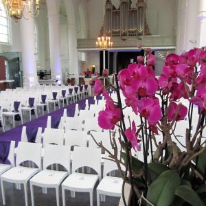 Lambertuskerk paars met bloemen